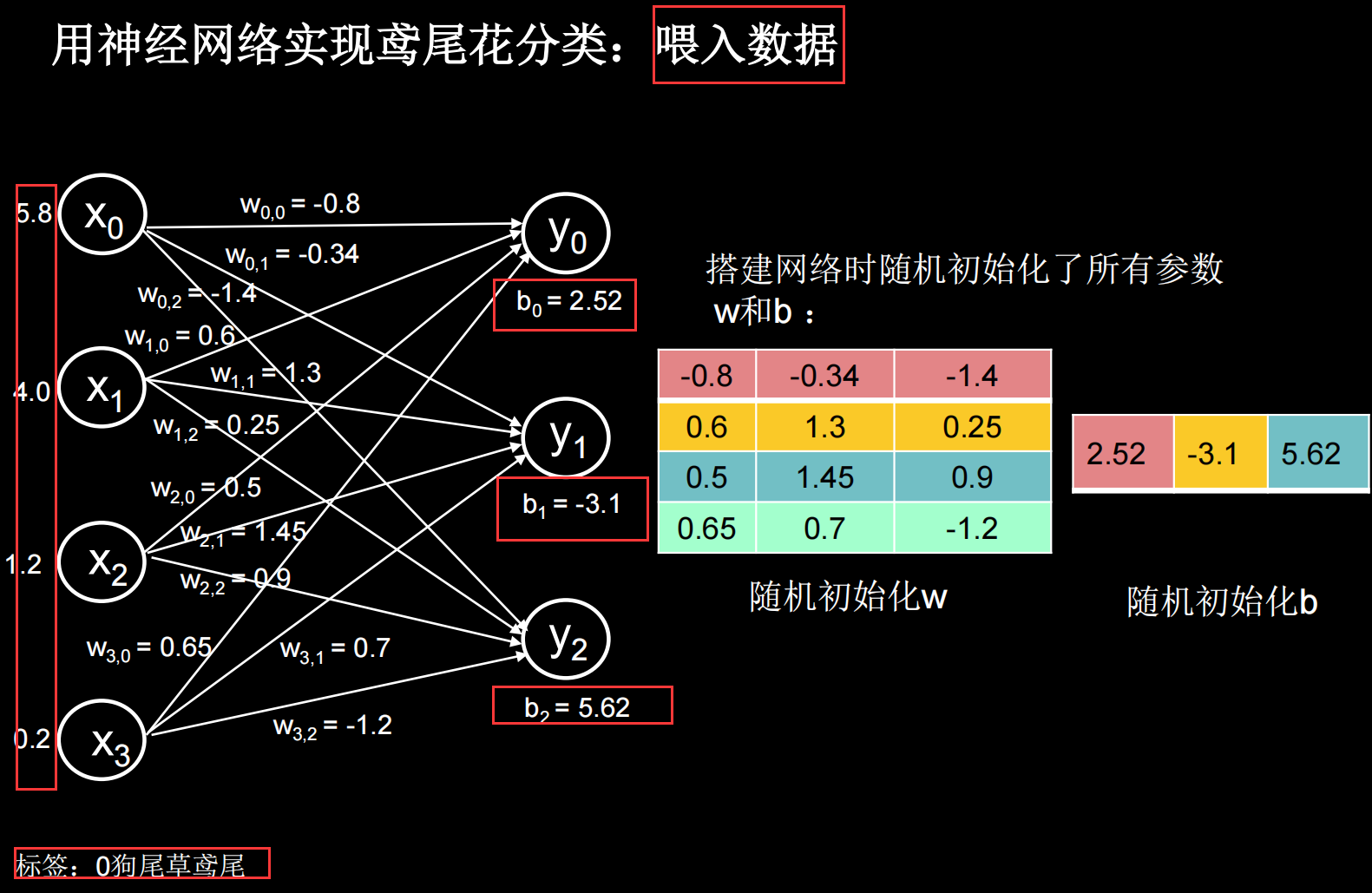 喂入数据