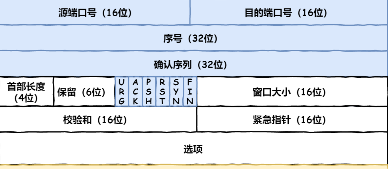 报头格式