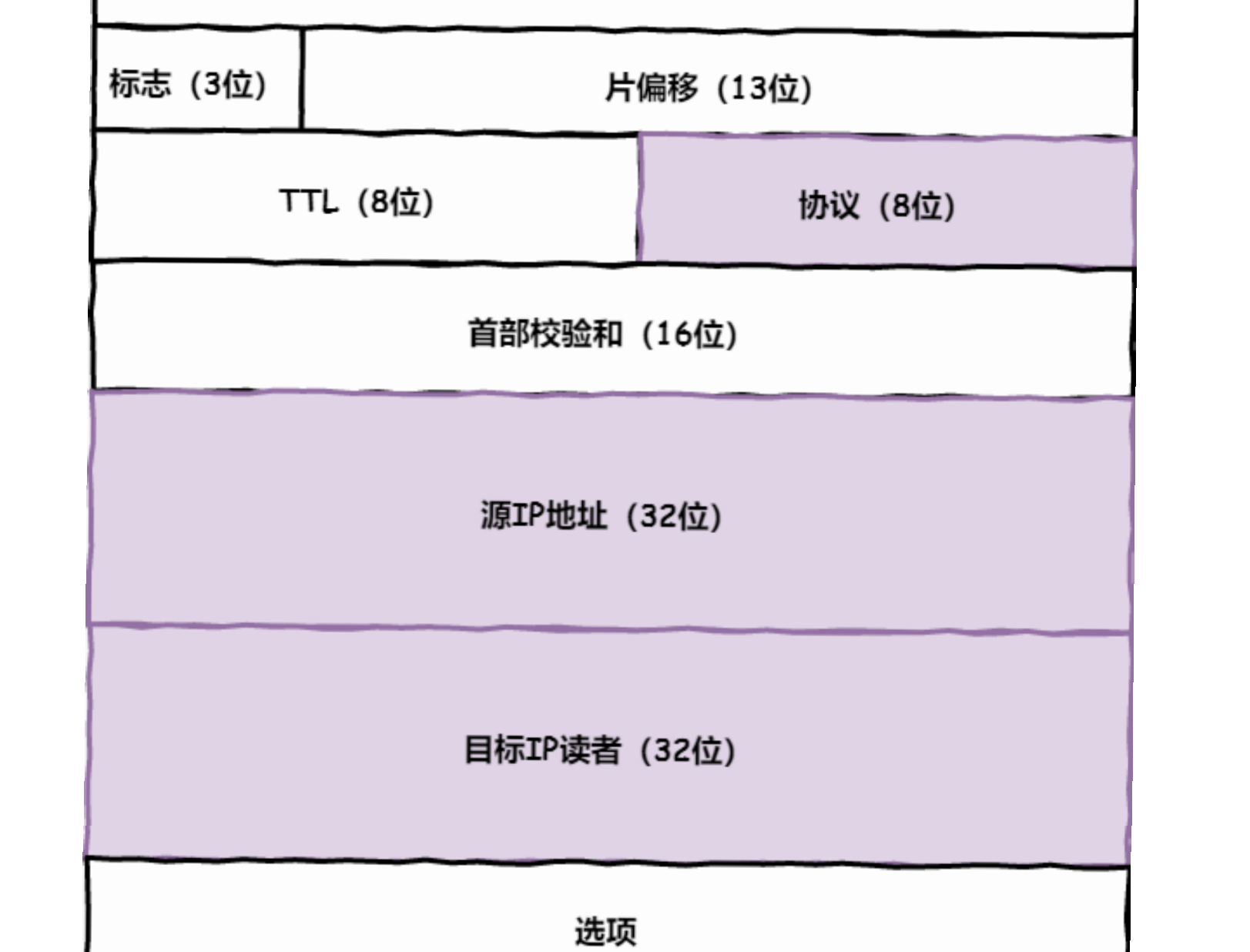 ip报头格式