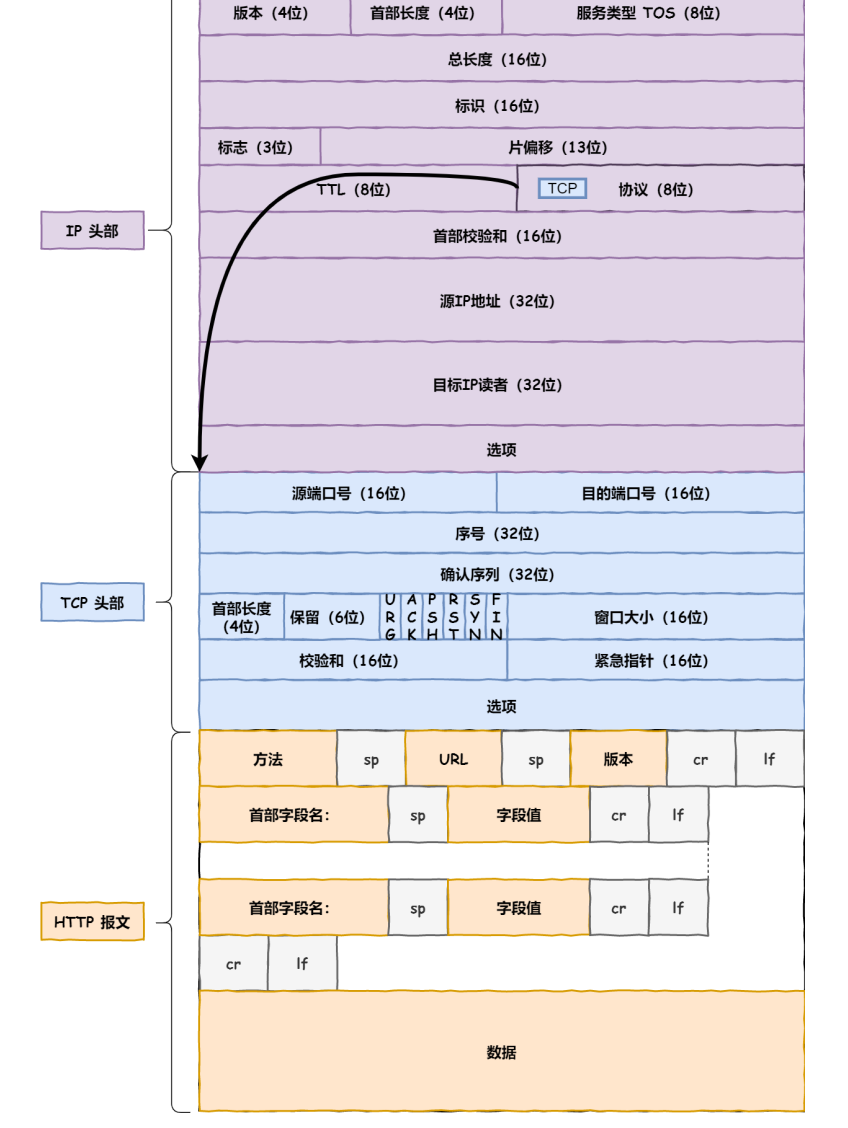 IP报文